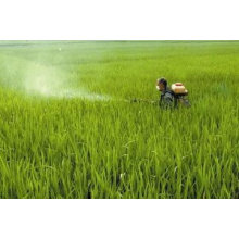 Herbicide Agrochimique Glyphosate 41% Ipa Salt SL